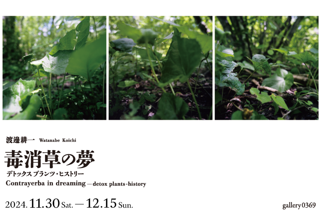 241028渡邊耕一0369写真展最終