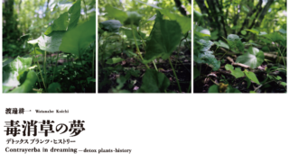 241028渡邊耕一0369写真展最終