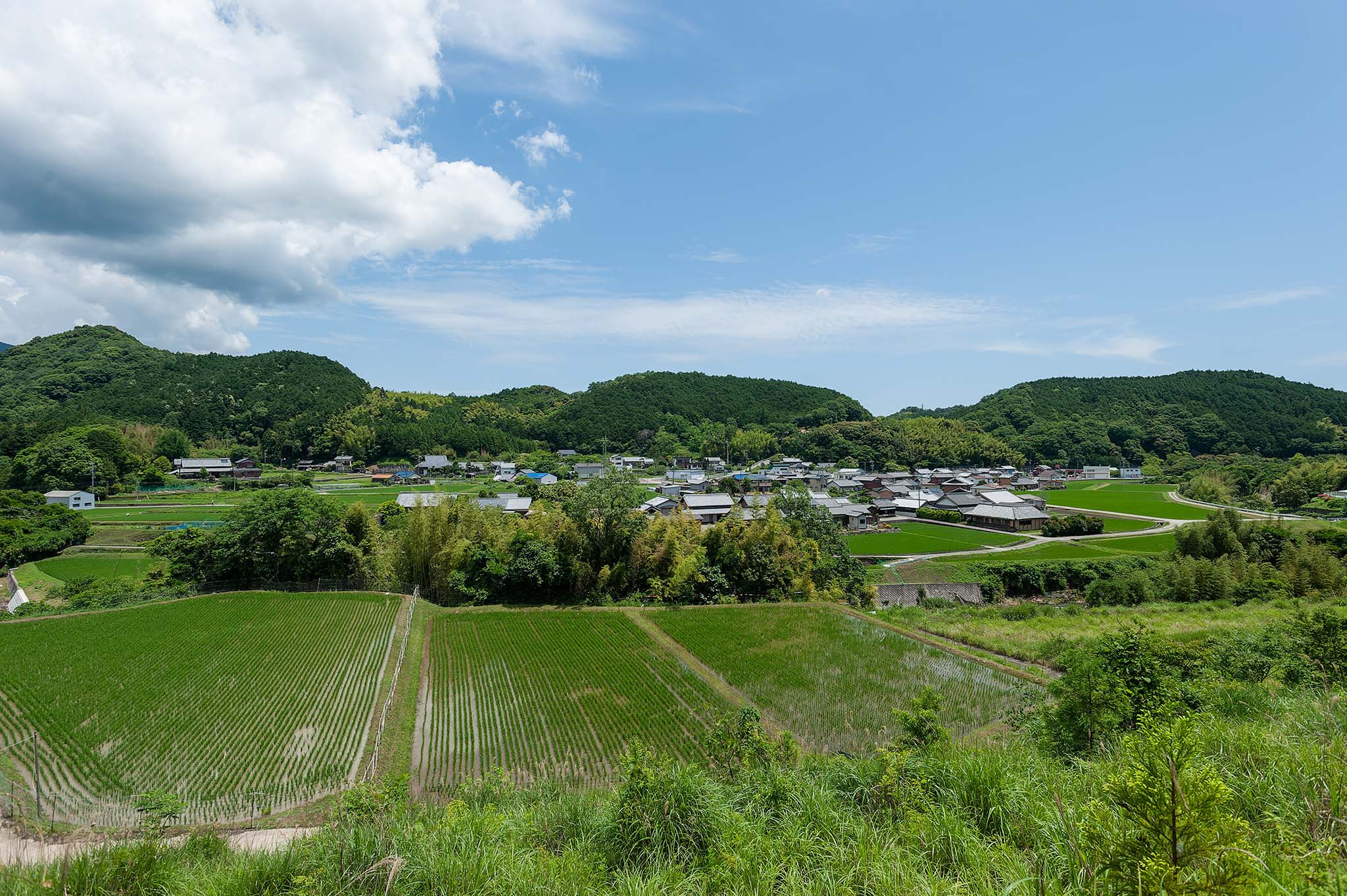 2026_みさと100m芸術祭